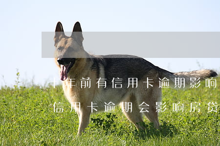 十年前有信用卡逾期影响房贷-10年前的信用卡逾期会影响房贷吗