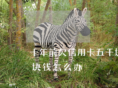 十年前欠信用卡五千块(十年前欠信用卡五千块钱怎么办)