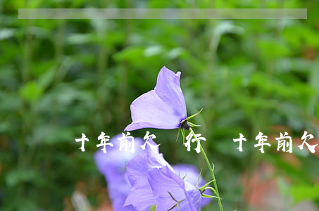 十年前欠銀行錢(十年前欠銀行錢會坐牢嗎)