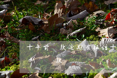 十年前貸款逾期有征信(十年前的征信問題會影響貸款嗎)