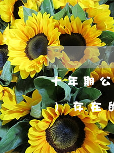 十年期公司債券的實(shí)質(zhì),存在的風(fēng)險(xiǎn)有哪些