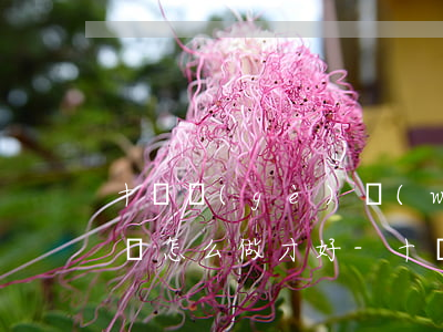 十幾個(gè)網(wǎng)貸全面逾期該怎么做才好-十幾個(gè)網(wǎng)貸全部逾期如何解救