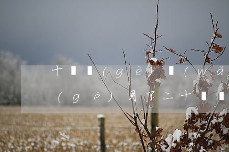 十幾個(gè)網(wǎng)貸逾期一個(gè)月了(二十幾個(gè)網(wǎng)貸逾期)