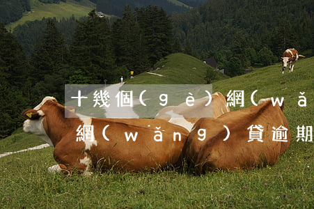 十幾個(gè)網(wǎng)貸逾期起訴(網(wǎng)貸逾期被起訴)