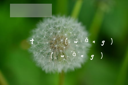 十幾個網(wǎng)貸全面逾期（逾期十幾個網(wǎng)貸負(fù)債二十萬）