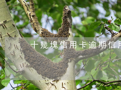 十幾塊信用卡逾期(信用卡10塊錢逾期)