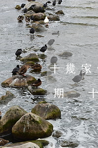 十幾家信用卡網(wǎng)貸100萬逾期-十幾家信用卡網(wǎng)貸100萬逾期會怎樣