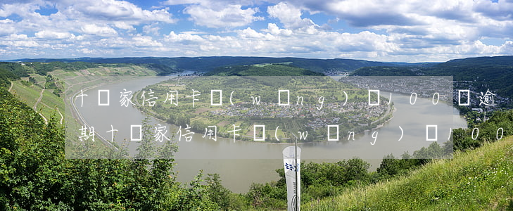 十幾家信用卡網(wǎng)貸100萬逾期(十幾家信用卡網(wǎng)貸100萬逾期了)