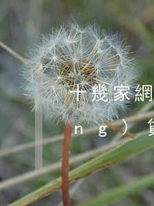 十幾家網(wǎng)貸起訴(最近網(wǎng)貸起訴)