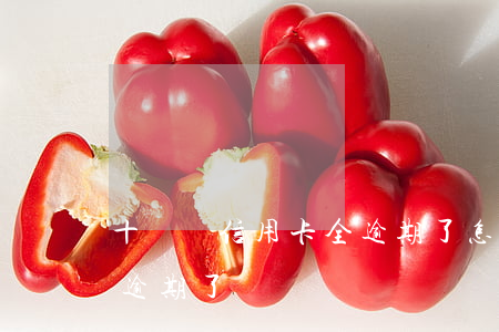 十幾張信用卡全逾期了怎么辦(好幾個信用卡逾期了)