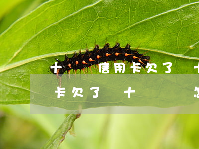 十幾張信用卡欠了幾十萬沒還-十幾張信用卡欠了幾十萬沒還怎么辦