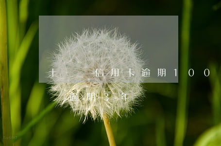 十幾張信用卡逾期100萬-信用卡100萬逾期3年