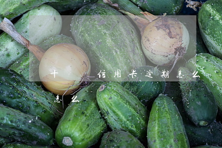 十幾張信用卡逾期怎么辦(十幾張信用卡逾期怎么辦)