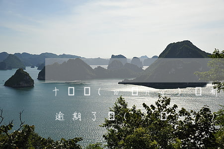 十幾網(wǎng)貸都已經(jīng)逾期了(網(wǎng)貸有逾期)