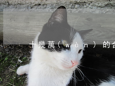 十幾萬(wàn)的合同糾紛值得打官司嗎