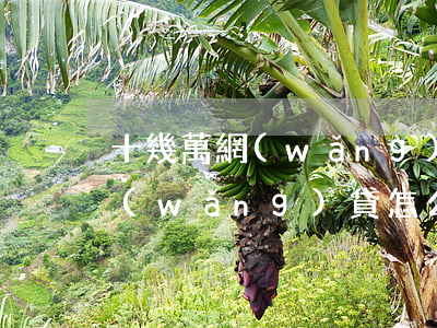 十幾萬網(wǎng)貸怎么還-十幾萬網(wǎng)貸怎么還款