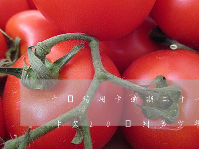 十張信用卡逾期二十一萬會判刑嗎(8張信用卡欠20萬判多少年)