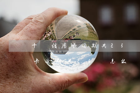 十張信用卡逾期共25萬怎么辦-十張信用卡逾期共25萬怎么辦理