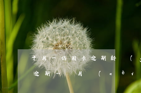 十月一信用卡逾期新規(guī)定(信用卡逾期一個月內(nèi))