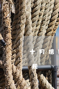 十月信用卡逾期新规多久（十月信用卡逾期新规）