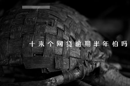 十来个网贷逾期半年怕吗