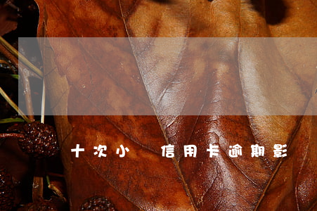 十次小額信用卡逾期影響房貸嗎