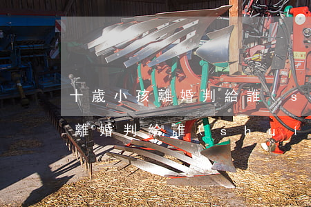 十歲小孩離婚判給誰(shuí)(十歲小孩離婚判給誰(shuí))
