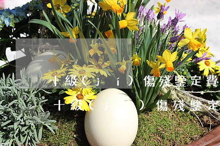 十級(jí)傷殘鑒定費(fèi)多少錢(十級(jí)傷殘鑒定費(fèi)多少錢)