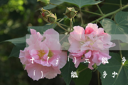 十級(jí)工傷能賠多少錢(工傷十級(jí)傷殘能賠償多少錢)