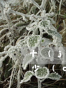 十級(jí)工傷請(qǐng)律師要多少錢(qián)(十級(jí)工傷請(qǐng)律師要多少錢(qián))