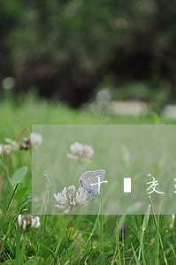 十級交通工傷應(yīng)賠付多少錢