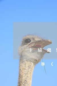 十級傷殘律師收費(fèi)標(biāo)準(zhǔn)(十級工傷律師費(fèi)是多少)