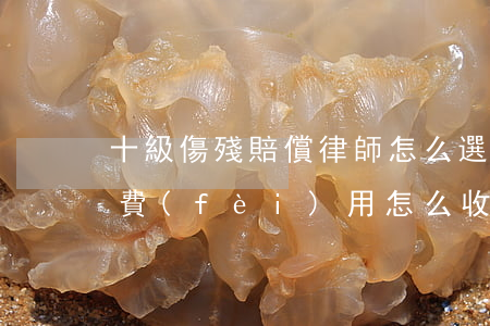 十級傷殘賠償律師怎么選擇(十級傷殘的律師費(fèi)用怎么收)