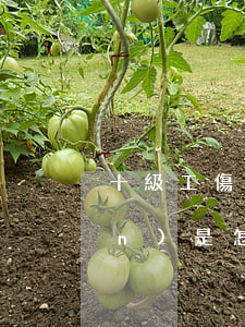 十級工傷殘賠償標(biāo)準(zhǔn)是怎樣的