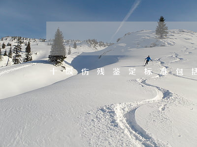 十级伤残鉴定标准包括的情形有哪些