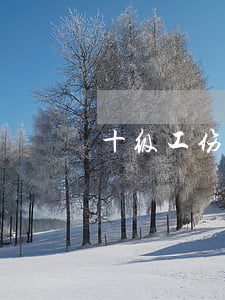 十级工伤残赔偿标准是怎样的