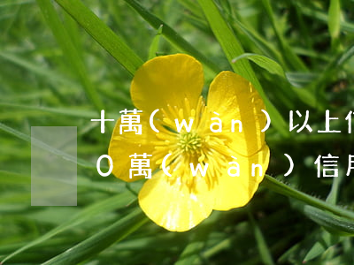 十萬(wàn)以上信用卡逾期了怎么辦(10萬(wàn)信用卡逾期一個(gè)月多少利息)