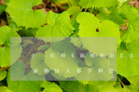 十萬信用卡逾期利息怎么算(信用卡10萬元逾期每天多少利息)