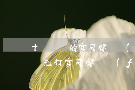 十萬塊錢的官司律師費(fèi)是多少(十萬元打官司律師費(fèi)需要多少)