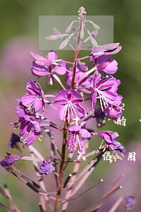 十萬的信用卡不還會(huì)坐牢嗎(有些人信用卡欠幾十萬沒還怎么不用坐牢)