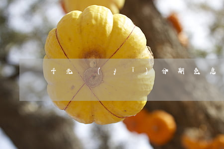 千元機(jī)分期免息