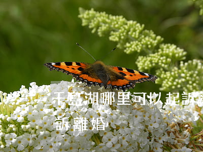 千島湖哪里可以起訴離婚(千島湖哪里可以起訴離婚)