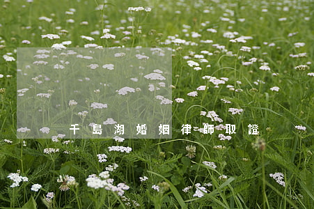 千島湖婚姻律師取證
