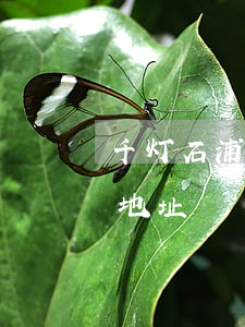 千灯石浦律师事务所在哪里(千灯律师事务所地址)