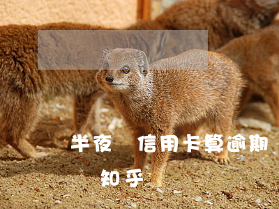 半夜還信用卡算逾期嗎(半夜還信用卡算逾期嗎知乎)