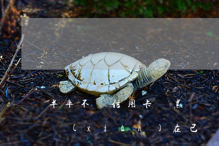 半年不還信用卡貴黑戶嗎(信用卡逾期一點年,現(xiàn)在已還清會變黑戶嗎)