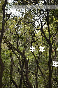 半年內(nèi)信用卡逾期兩次影響貸款嗎（兩年內(nèi)一次逾期影響信用卡嗎）
