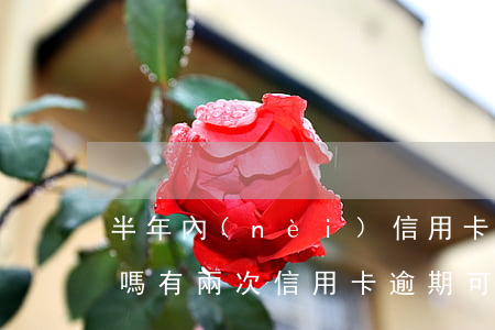 半年內(nèi)信用卡逾期兩次影響貸款嗎（有兩次信用卡逾期可以房貸）