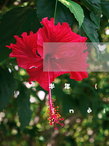 半年內(nèi)兩次逾期能貸款嗎(一年內(nèi)兩次貸款逾期有什么影響嗎)