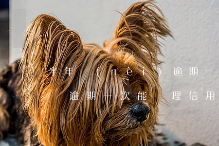 半年內(nèi)逾期一次可以辦理信用卡嗎(逾期一次能辦理信用卡嗎)